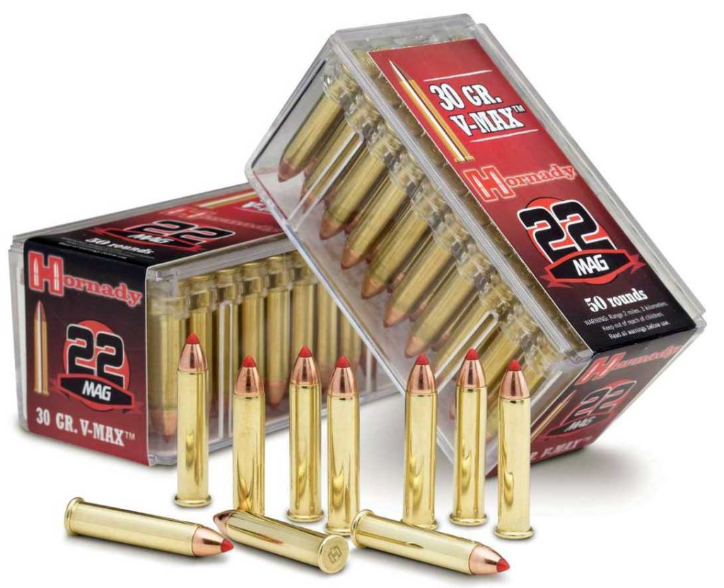 ruger-precision-rimfire-17-hmr-vs-22-wmr-which-would-you-buy