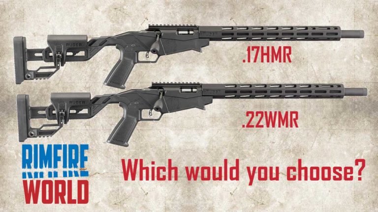 ruger-precision-rimfire-17-hmr-vs-22-wmr-which-would-you-buy